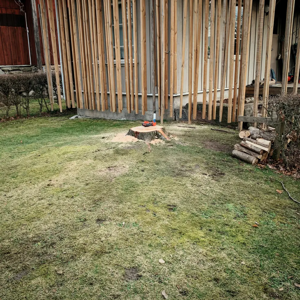 arborist tradfallning lidingo